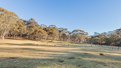 Wares Yards campground, Kosciuszko National Park. Photo: Murray Vanderveer/NSW Government