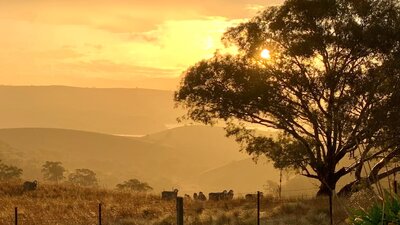 Warroo Homestead has amazing sunsets and resort style salt water pool