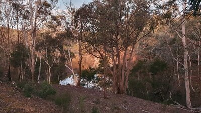 Windellama Bush Camp, Goulburn Area