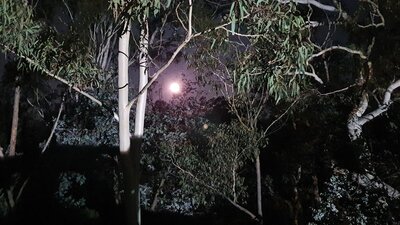 Windellama Bush Camp, Goulburn Area