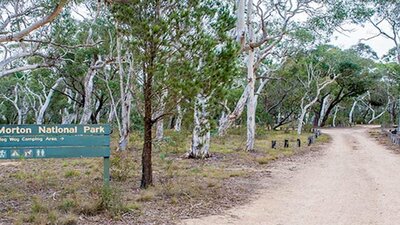 Wog Wog campground, Morton National Park. Photo: Michael van Ewijk/NSW Government
