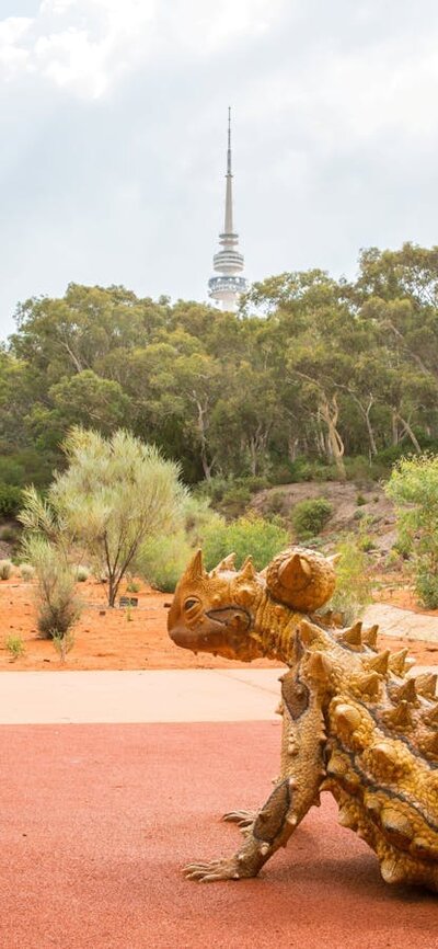 Red Centre Garden