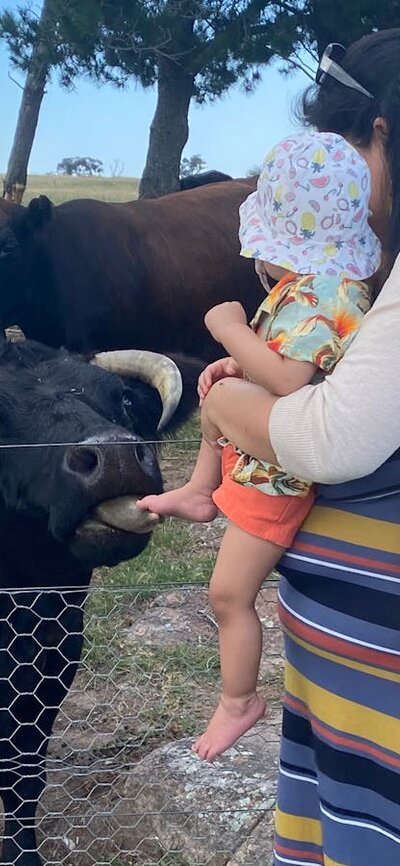 Babylon Farm