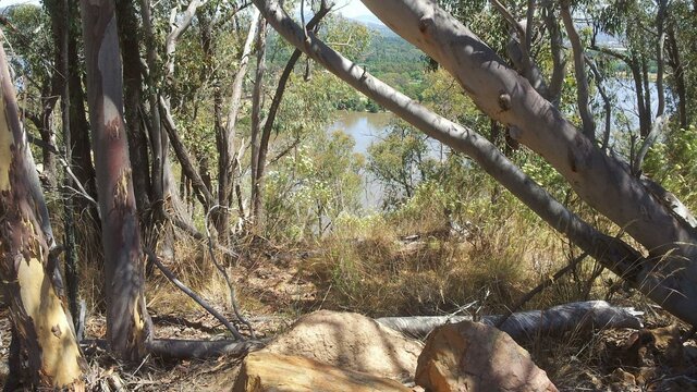 Views from the bush walk Views from the bush walk