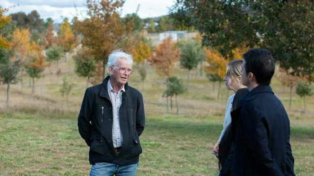 Blue Frog Truffle Farm