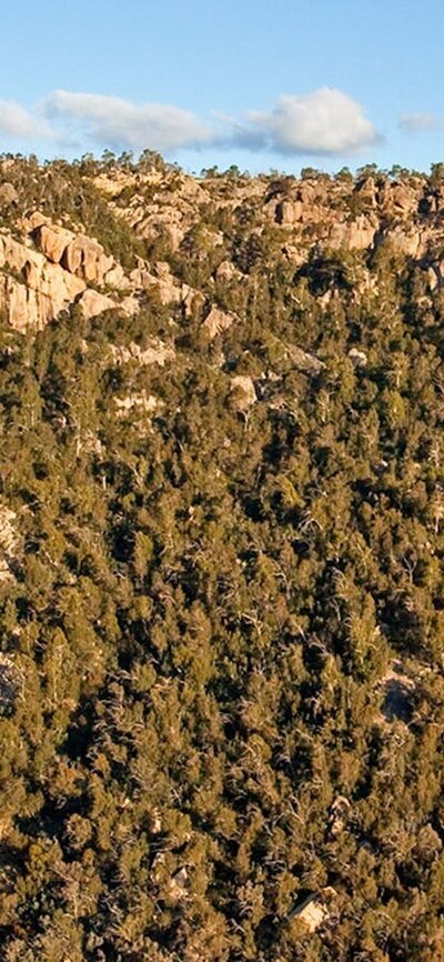Booroomba Rocks (Detail). Photo courtesy of Barry Armstead View of Booroomba Rocks
