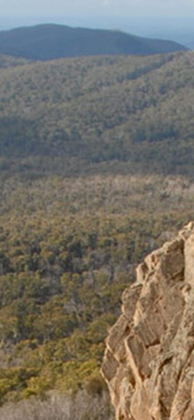 Brindabella National Park. Photo: NSW Government