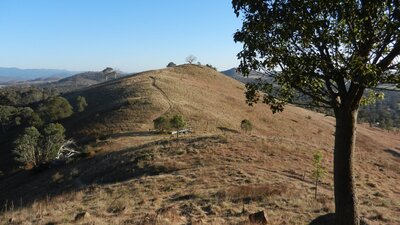 Urambi Hills walking track