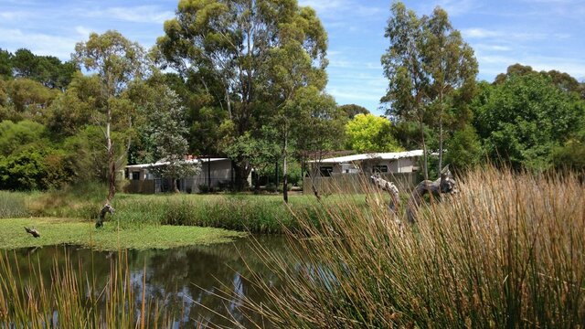 Canberra Potters Society is set in the heart of Watson, ACT Wetlands with a large pond surrounded by grass and trees. Canberra Potters is in the background.