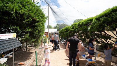 Customers of all ages feeding and observing our birds