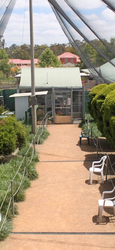 View inside the Canberra Walk in Aviary