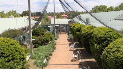 View inside the Canberra Walk in Aviary