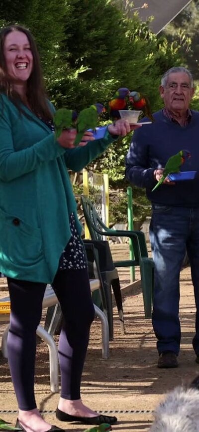 Feeding the birds at the Walkin Aviary