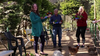 Feeding the birds at the Walkin Aviary