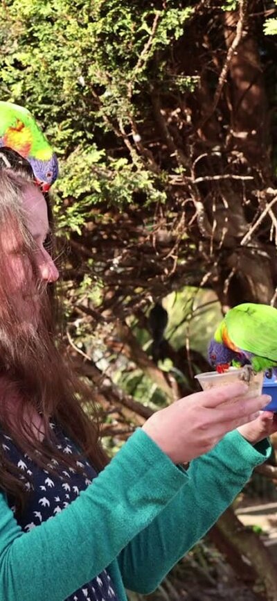 Feeding the birds at the Walkin Aviary