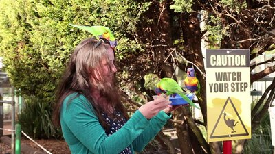 Feeding the birds at the Walkin Aviary