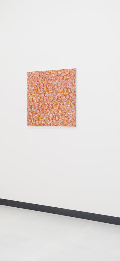 Works by Liz Coats and Merryn Lloyd in Exhibition No.1 at Civic Art Bureau Photo of paintngs installed in gallery