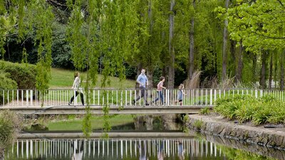 Crossing a bridge with weeping willows