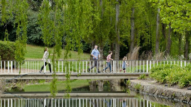 Willows weep over the bridge Crossing a bridge with weeping willows