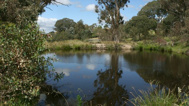 Cooleman Ridge near the dam Cooleman Ridge near the dam