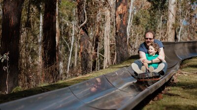 A father and son riding a cart down a metal toboggan track surrounded by a mountain ash forest.