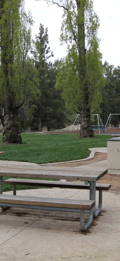 Picnic tables and barbeques