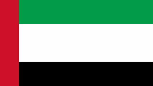 Flag of the United Arab Emirates Flag of the United Arab Emirates