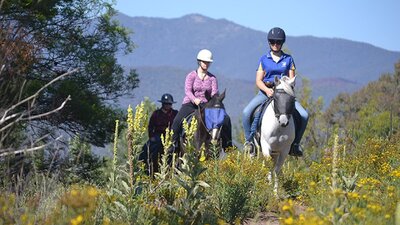 Forest Park trail rides.