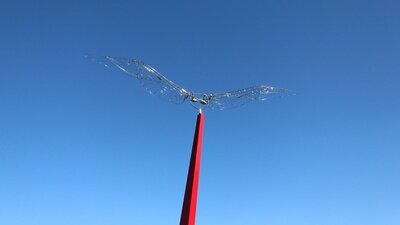 Breezing in Canberra