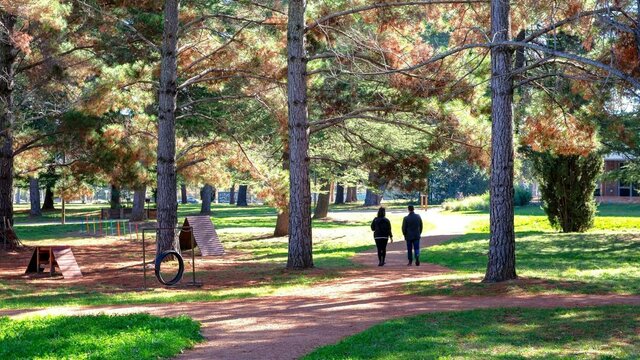 Haig Park