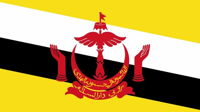 Flag of Brunei Darussalam Flag of Brunei Darussalam