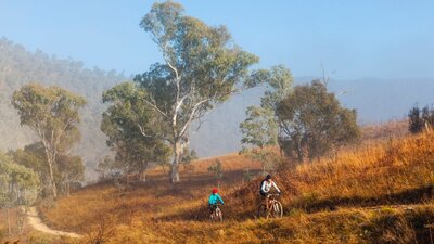 Kambah Trail