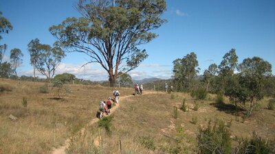 Kambah Pool to Red Rocks Gorge walk
