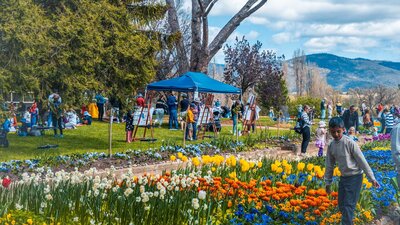 Families explore Lanyon Homestead, painting and enjoying tulips in bloom.