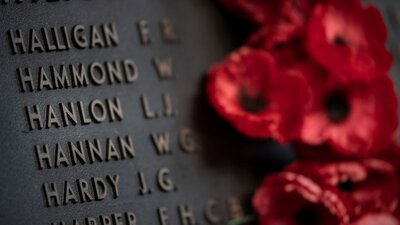 Poppy tributes placed beside names on the Roll of Honour at the Australian War Memorial