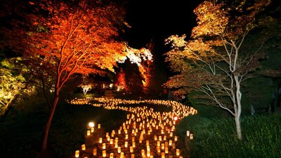 Canberra Nara Candle Festival