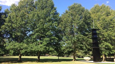 Wide open spaces, tall trees and a Japanese eight-meter-high pagoda