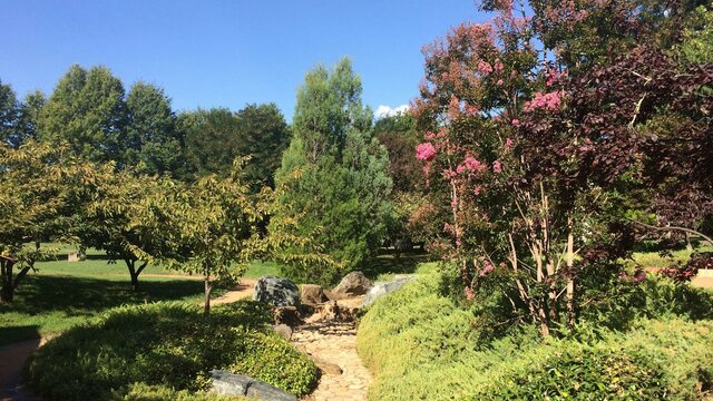 Japanese plantings in Canberra Nara Peace Park Japanese plantings in Canberra Nara Peace Park