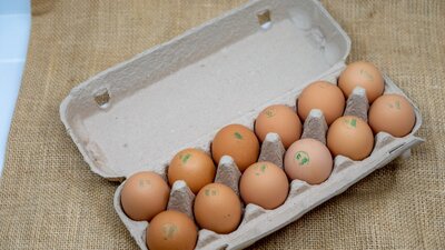 Fresh Eggs Direct from the Farm Gate