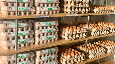 Fresh Eggs for Sale in the Majura Valley Farm Gate Shop