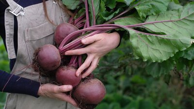 Seasonal Produce from our Market Garden