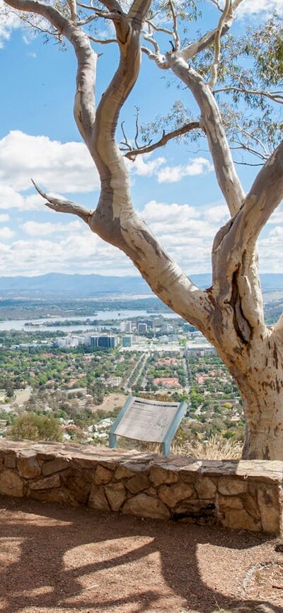 Views over Canberra from the top of Mount Ainslie