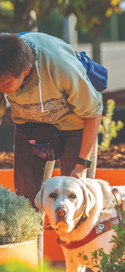 Two adults bending over the sensory garden accompanied by a guide dog