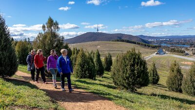 guide walking through forests with four people