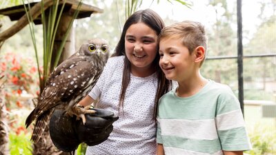 2 Children meeting and handling a barking owl during an encounter at the National Zoo and Aquarium