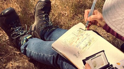 somebody sitting down in a field and nature journaling