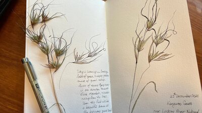 Kangarro grass and fineliner sitting on top of a open nature journal