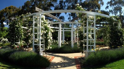 Arbor in the centre of the Ladies Garden