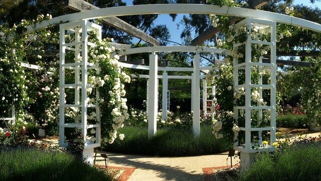 Old Parliament House Gardens Arbor in the centre of the Ladies Garden
