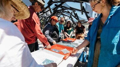 A group of people stand around water tubs making sun based prints